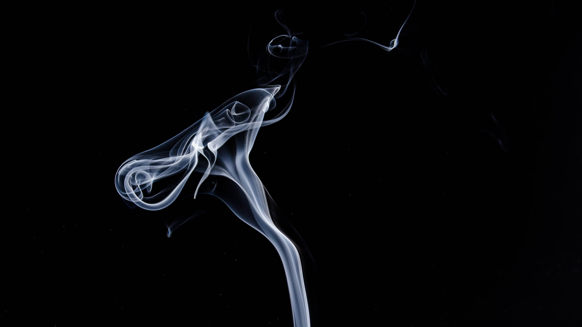 Smoking Cessation Study