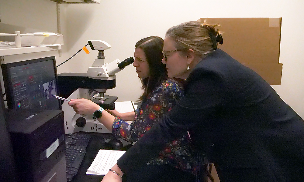 Dr. Carol Lange looking into a microscope with a colleague.