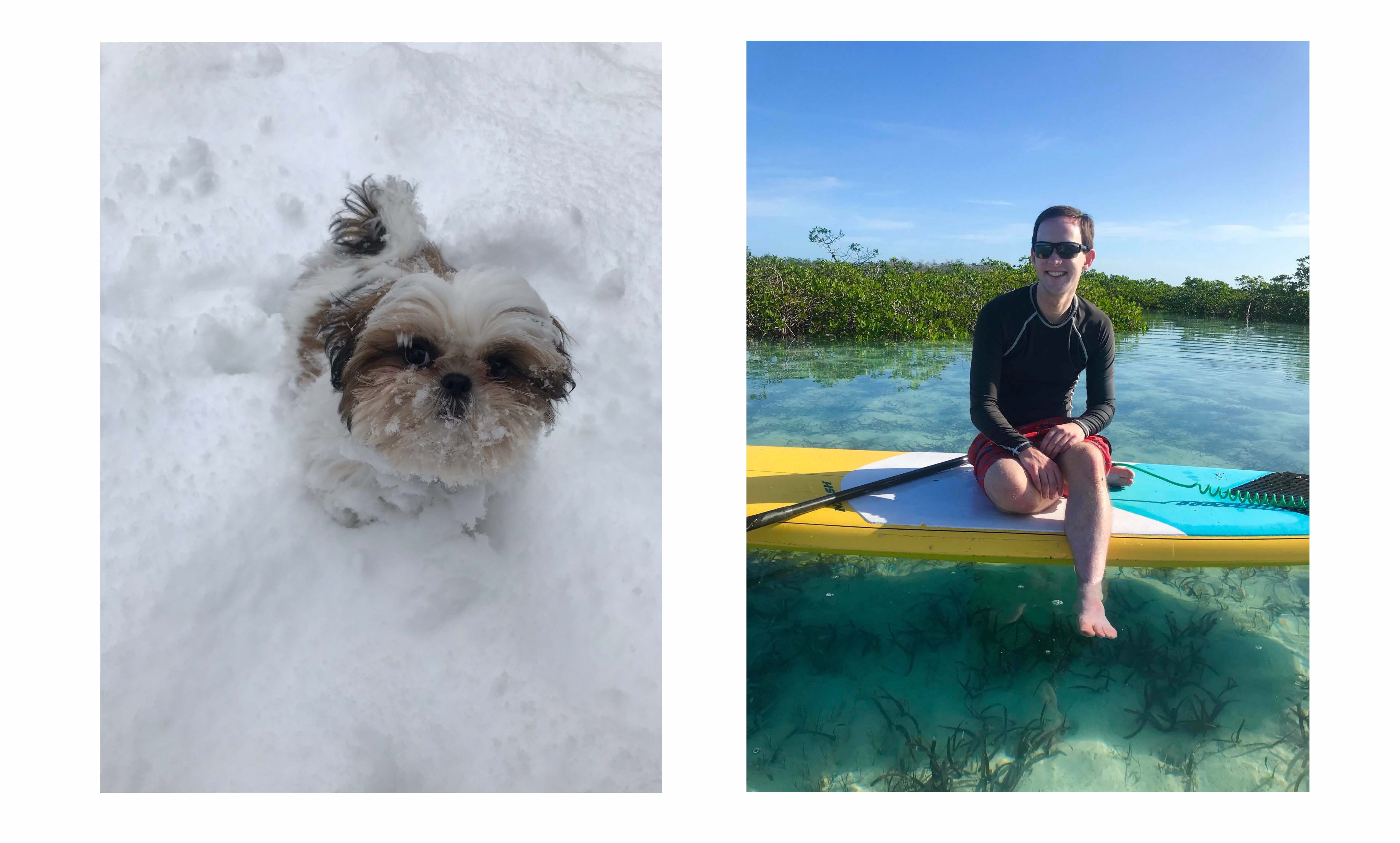 Collage of Dr. Benert's new puppy and him paddle-boarding.