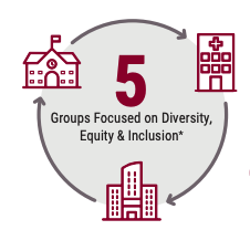 Diversity equity and inclusion infographic