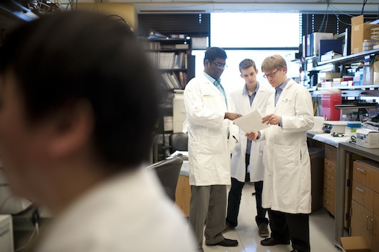 Stem Cell Institute Graduate Programs | Medical School - University of  Minnesota