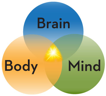 Brain Body Mind Diagram
