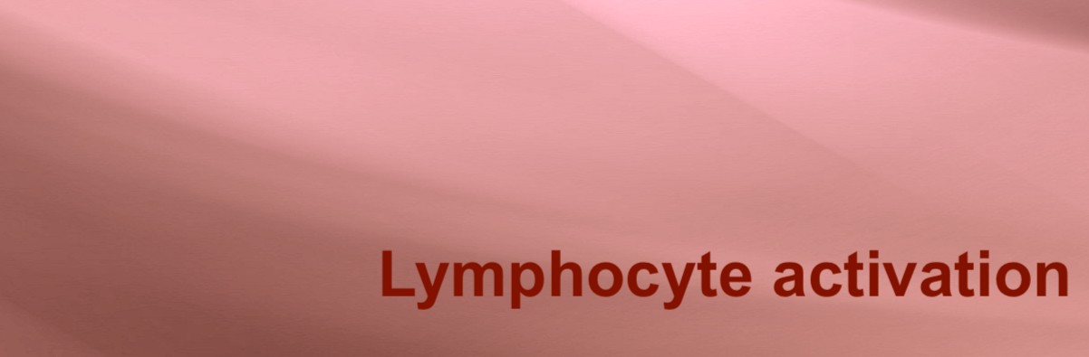 Immunology-Lymphocyte activ