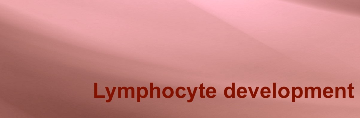 Immunology- Lymphocyte Dev.jpg