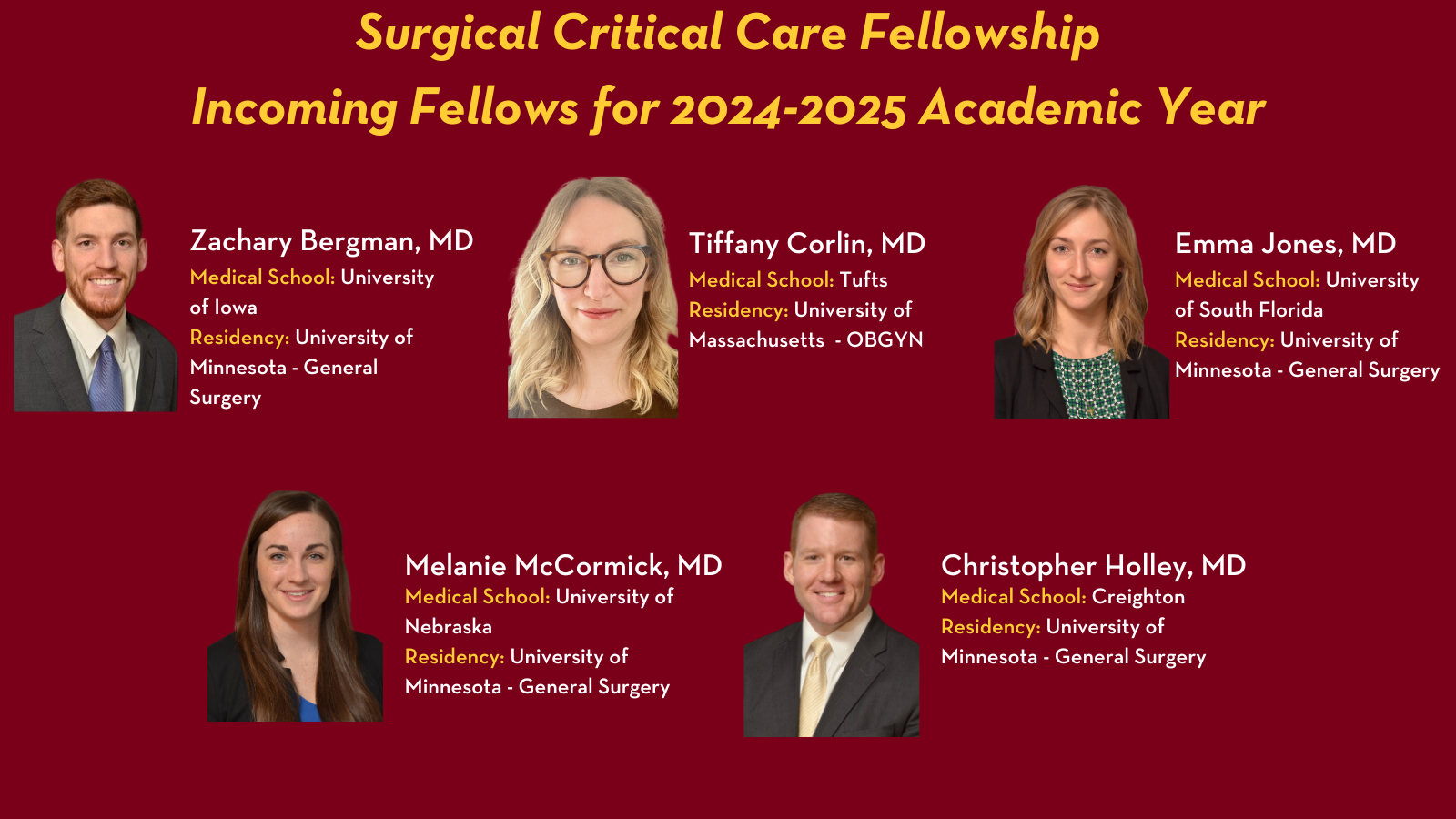 Critical Care Fellows