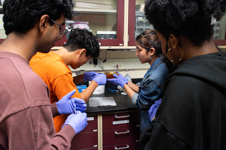 (Left to right) Farhan Shaikh, Viet Cao, Yashaswi Subedi, and Nangah Awasum working on their model prototype.