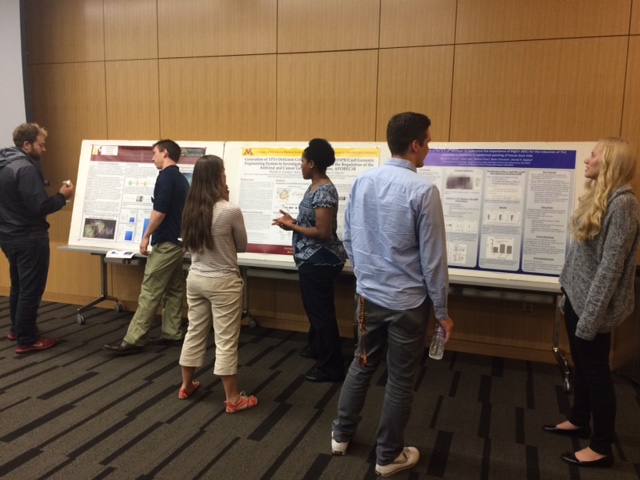 2015 Poster Session
