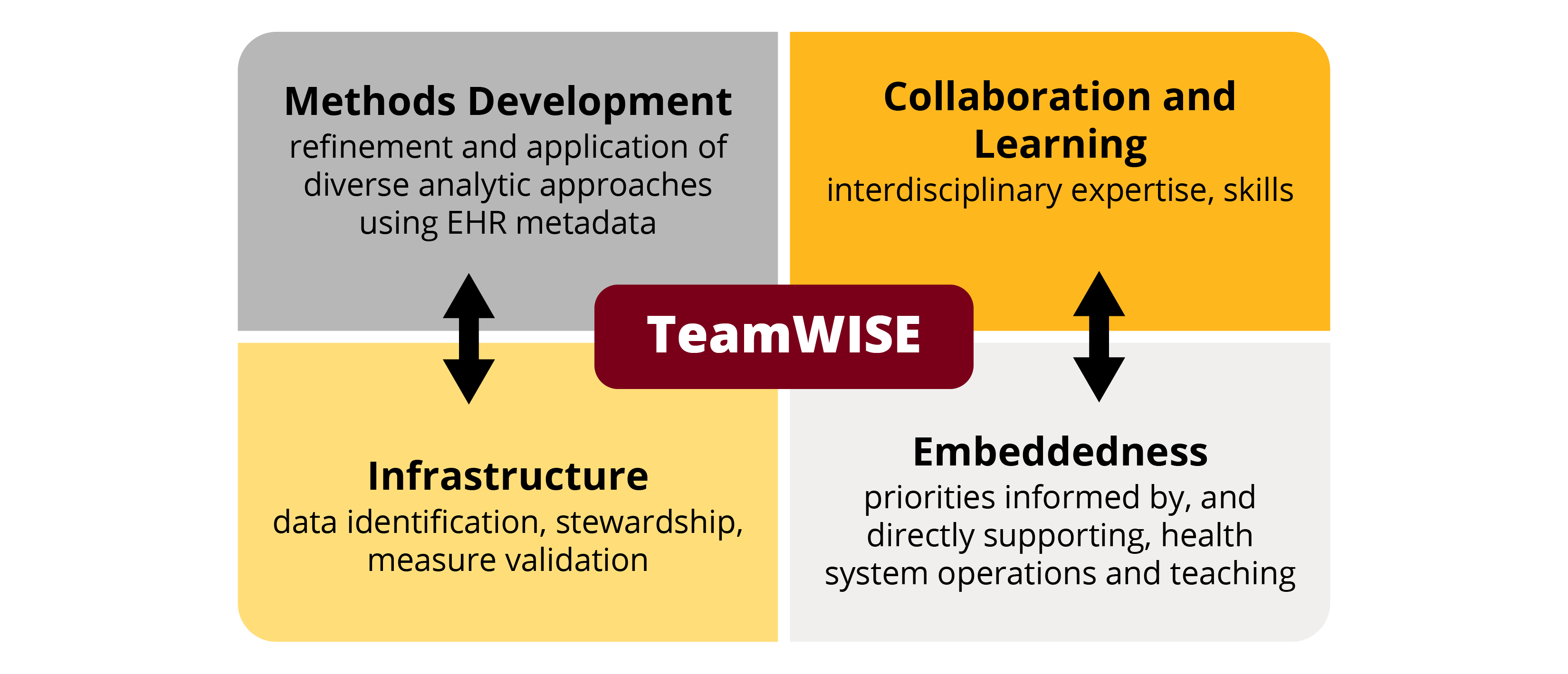 Diagram of different TeamWISE focuses