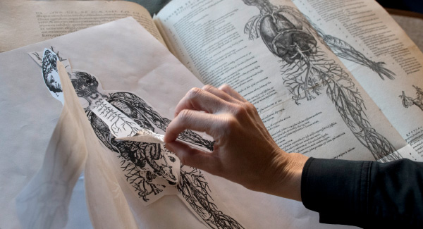 Photo of a hand exploring an old anatomy book