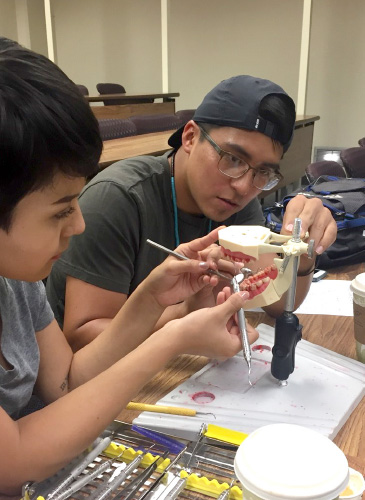 The Native Americans into Medicine program gives undergraduate students interested in medicine hands-on research experience. 