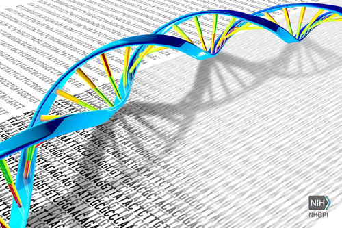 Next generation sequencing