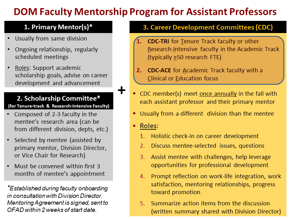 DOM Faculty Mentorship Program for Assistant Professors