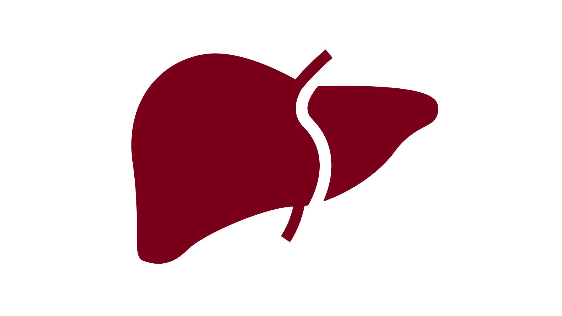 Liver transplant program outcomes