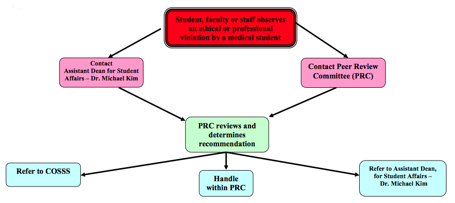 Procedure for Reporting Ethics Violations by Medical Students - Twin Cities Campus