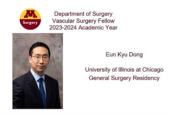  Vascular Surgery Fellowship