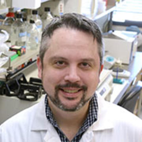 Shane McAllister, MD, PhD