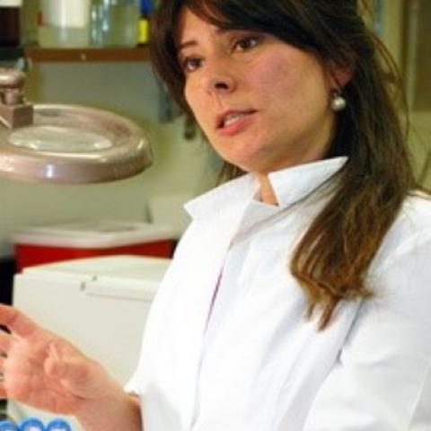 Dr. Martina Bazzaro