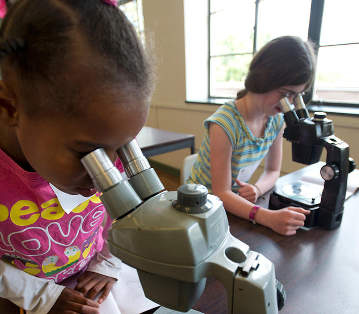 elementary students looking in microscopes