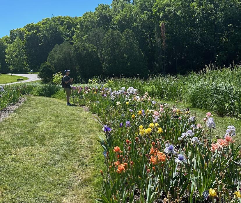 Outdoor flower garden