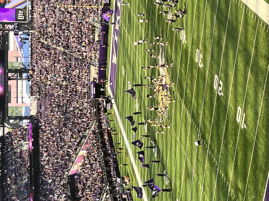 MN vikings game