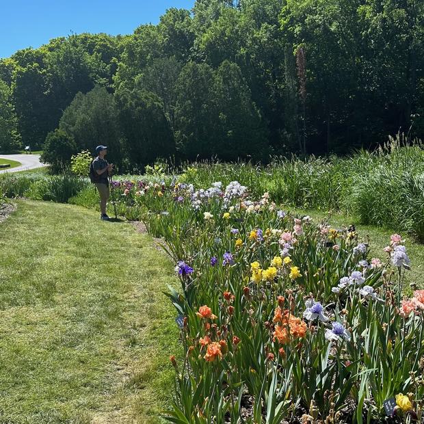 Outdoor flower garden