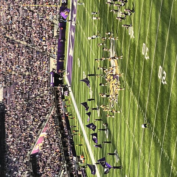 MN vikings game