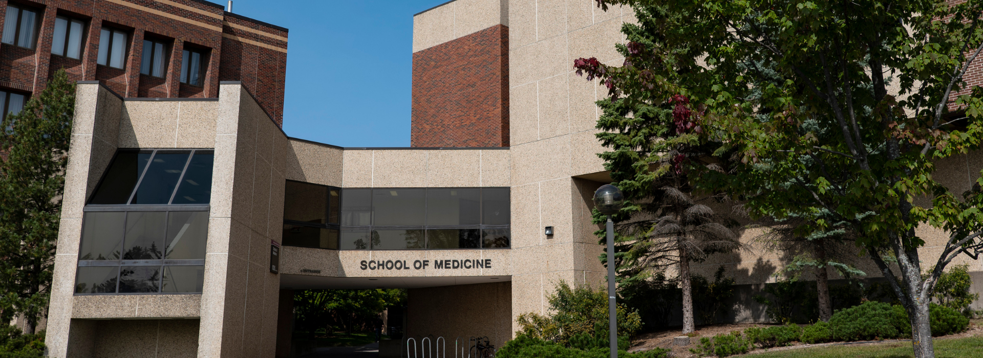 U of M Medical School Seeks Applicants for Regional Dean to Lead the Duluth Campus