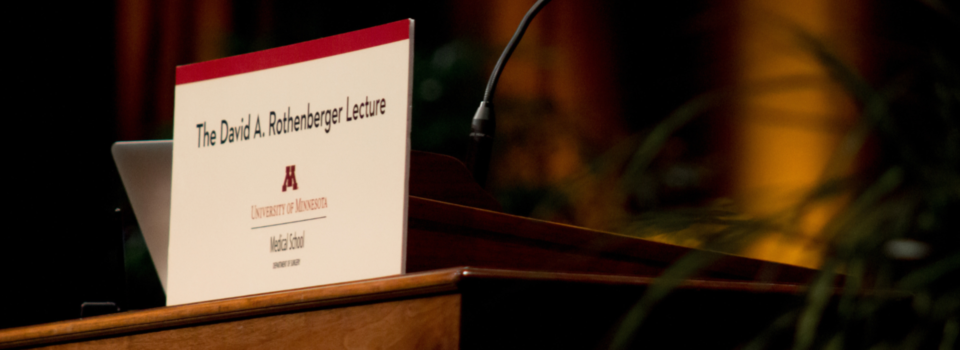ROTHENBERGER LECTURE