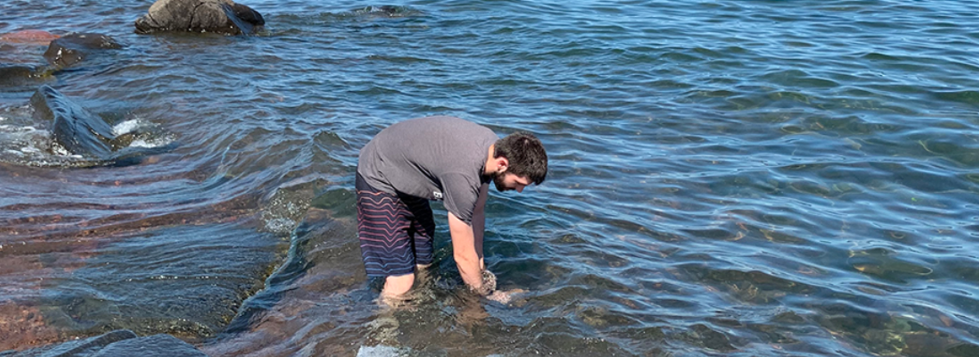 U of M Researcher Monitors Duluth Beaches for the Presence of SARS-CoV-2