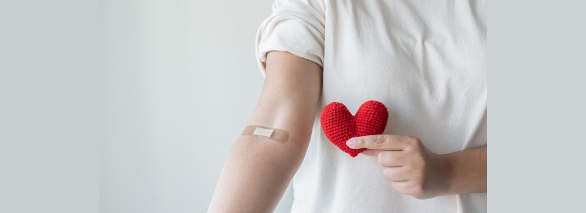 Image of a person with a white shirt, only their torso showing. In one hand they hold a knitted, red heart while their other arm is outstretched showing a bandaid over the crook of their elbow.