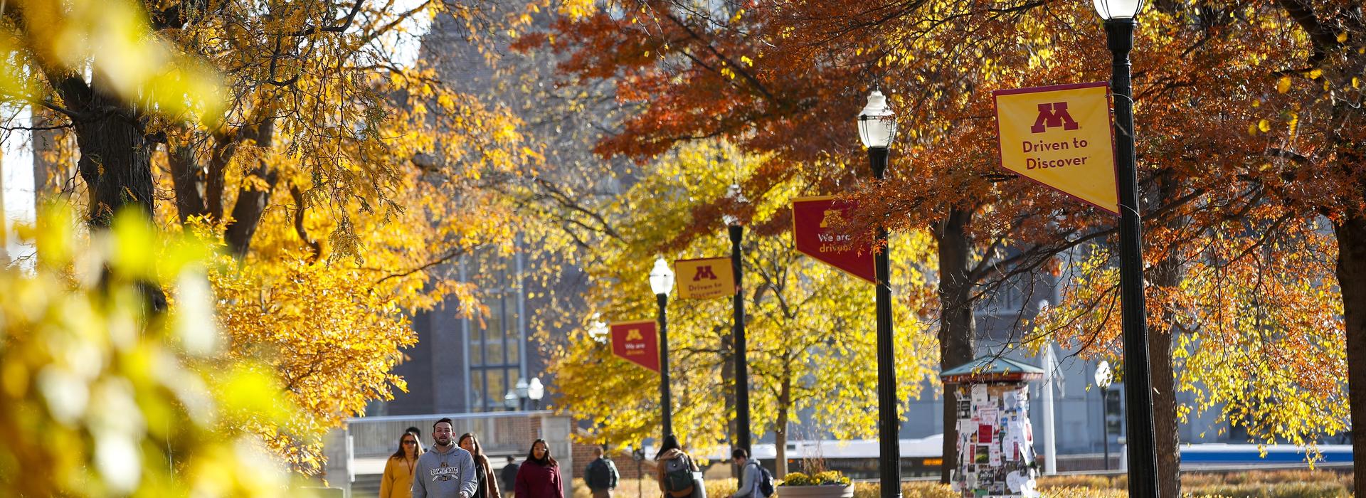 campus fall scene