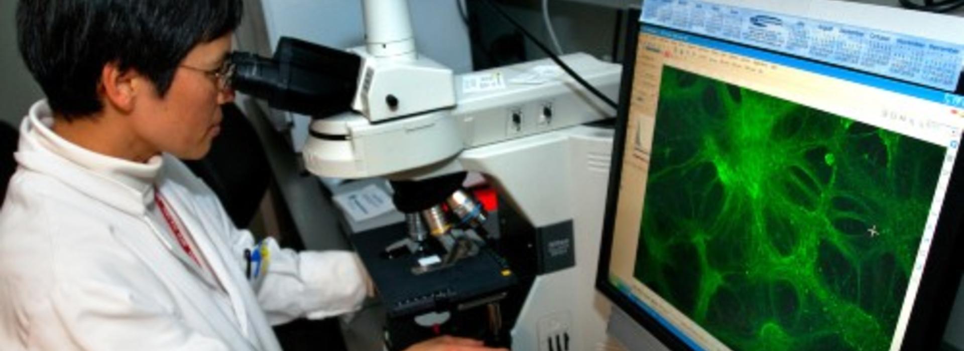 Person using microscope in lab. 