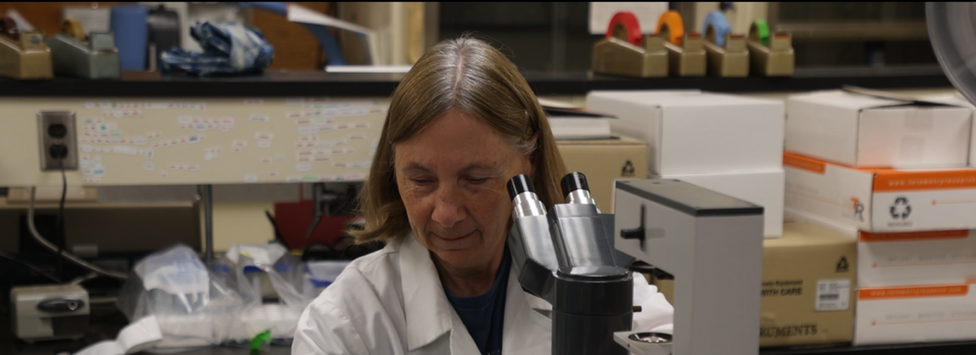 Dr. Jean Regal in her lab