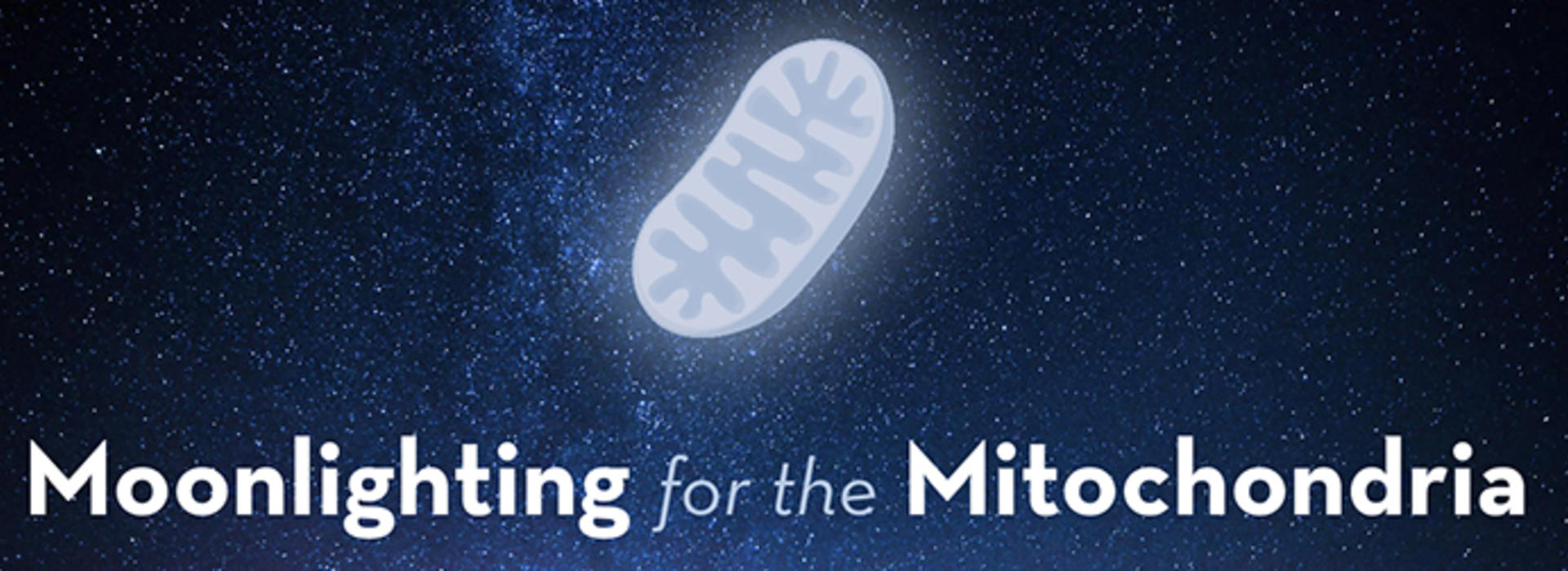 Title of the piece with the image of a starry sky with a glowing, pale blue mitochondrion appearing as the moon