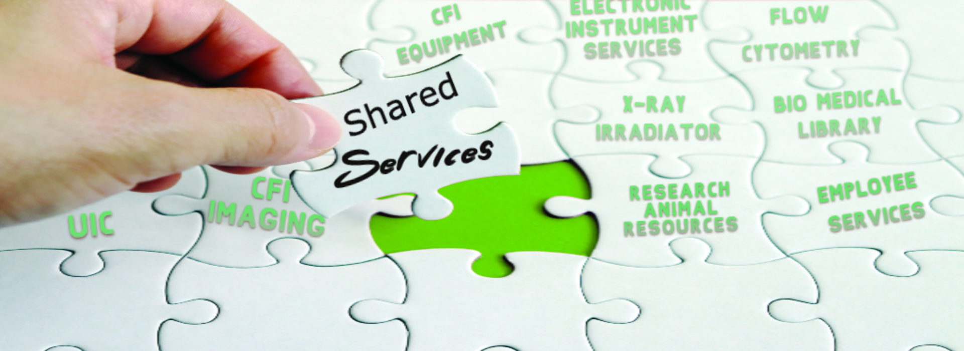 immunology-shared services