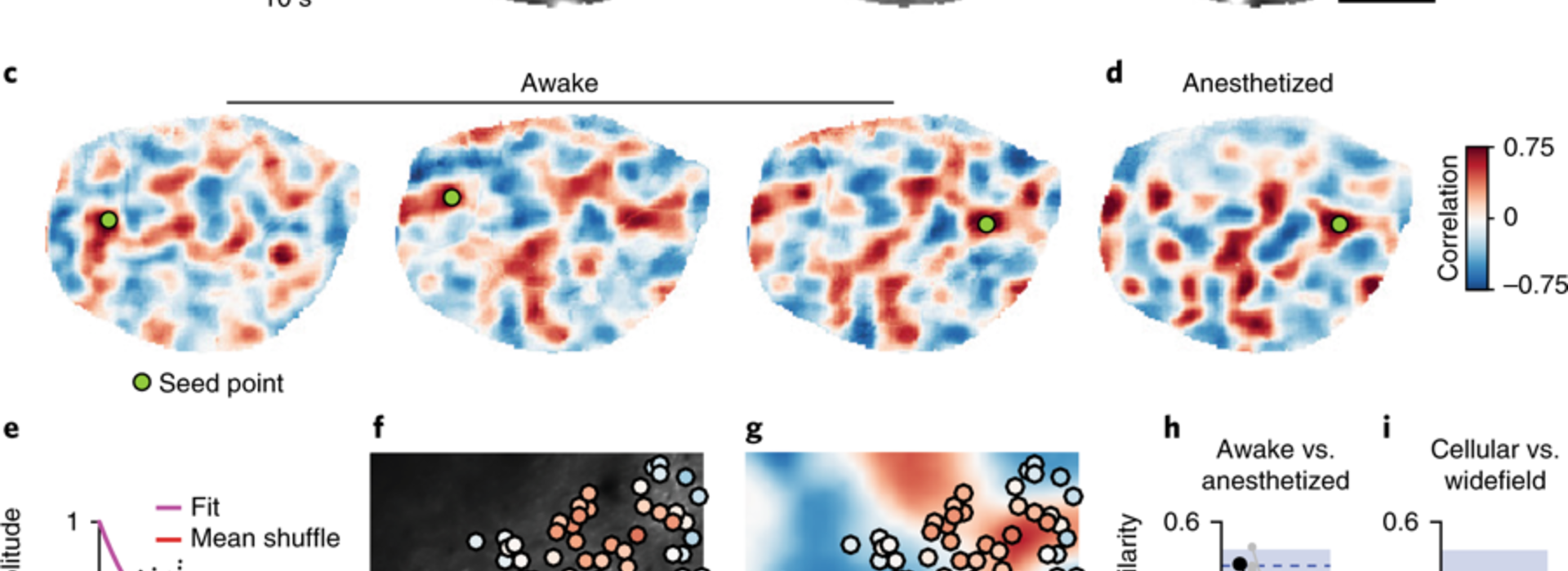 Correlated spontaneous activity in awake ferret visual cortex reveals large-scale modular distributed functional networks.