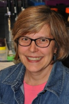 Dr. Kristin Boylan