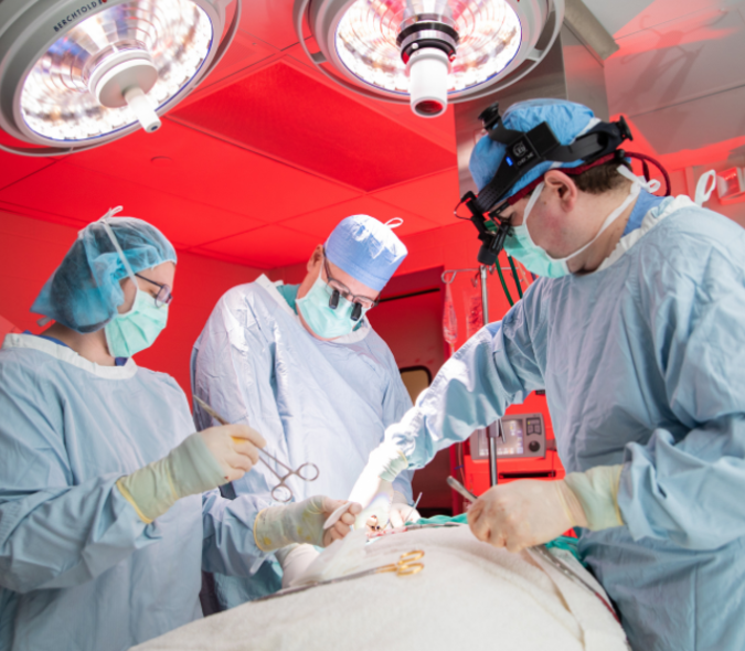 ESS Staff Performs Surgery UMN