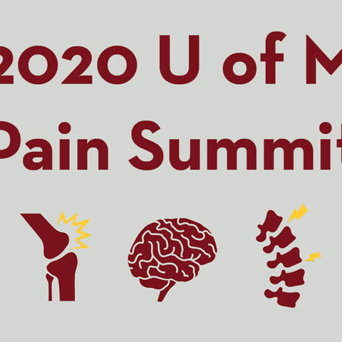 Pain Summit