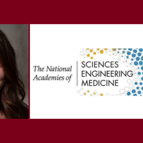 Dr. Melanie Graham Appointed to Serve on the National Academies of Sciences and Engineering 