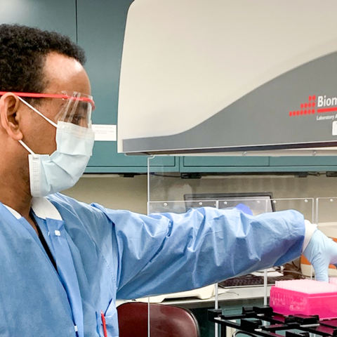 A researcher processing an antibody test 