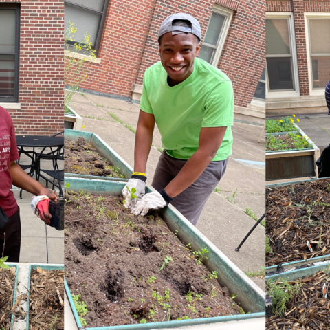 Image of U of M students gardening in a campus space.