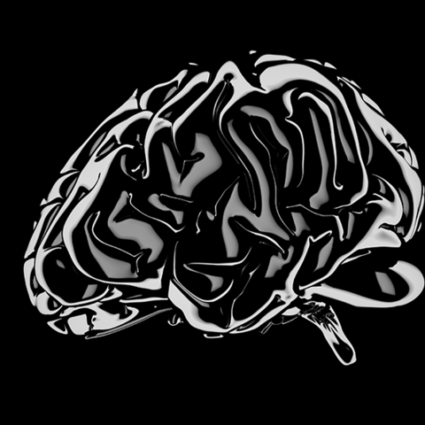 An illustration of a brain.
