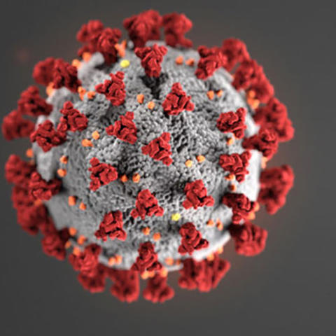 Coronavirus from CDC