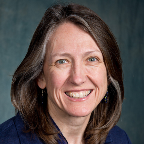 Catherine A. McCarty, PhD, MPH, MSB, HEC-C, professor and associate dean for research has been selected as the 2021-2022 Building Research Capacity (BRC) Program Fellow – a joint effort of North American Primary Care Research Group (NAPCRG) and the Associ