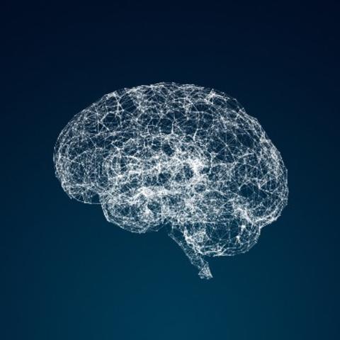 Depiction of brain network