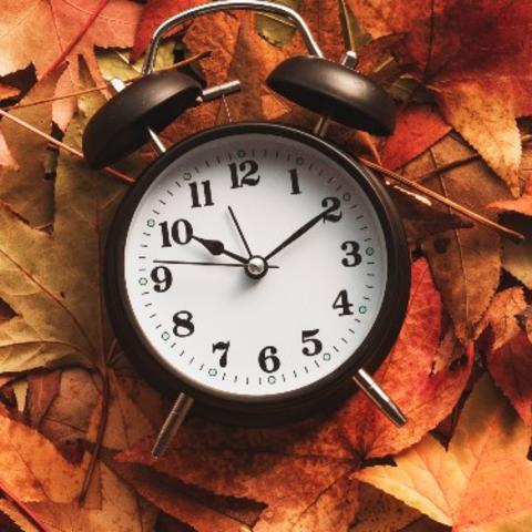 Clock on top of pile of leaves. 