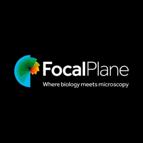 focalplane logo