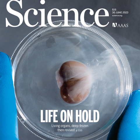 In The News: UMN Research Makes Cover of Prestigious Science Journal