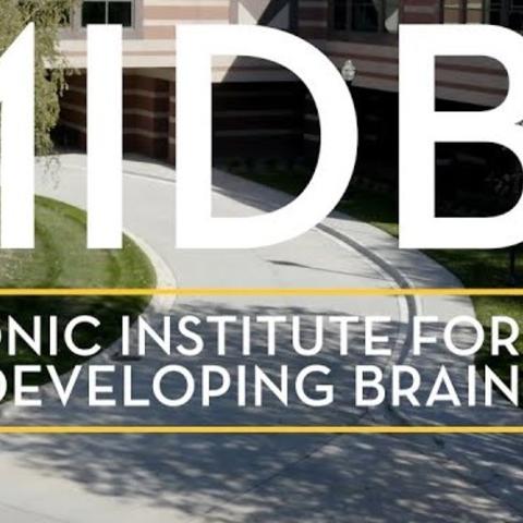 Masonic Institute for the Developing Brain